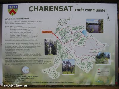 charensat_foret